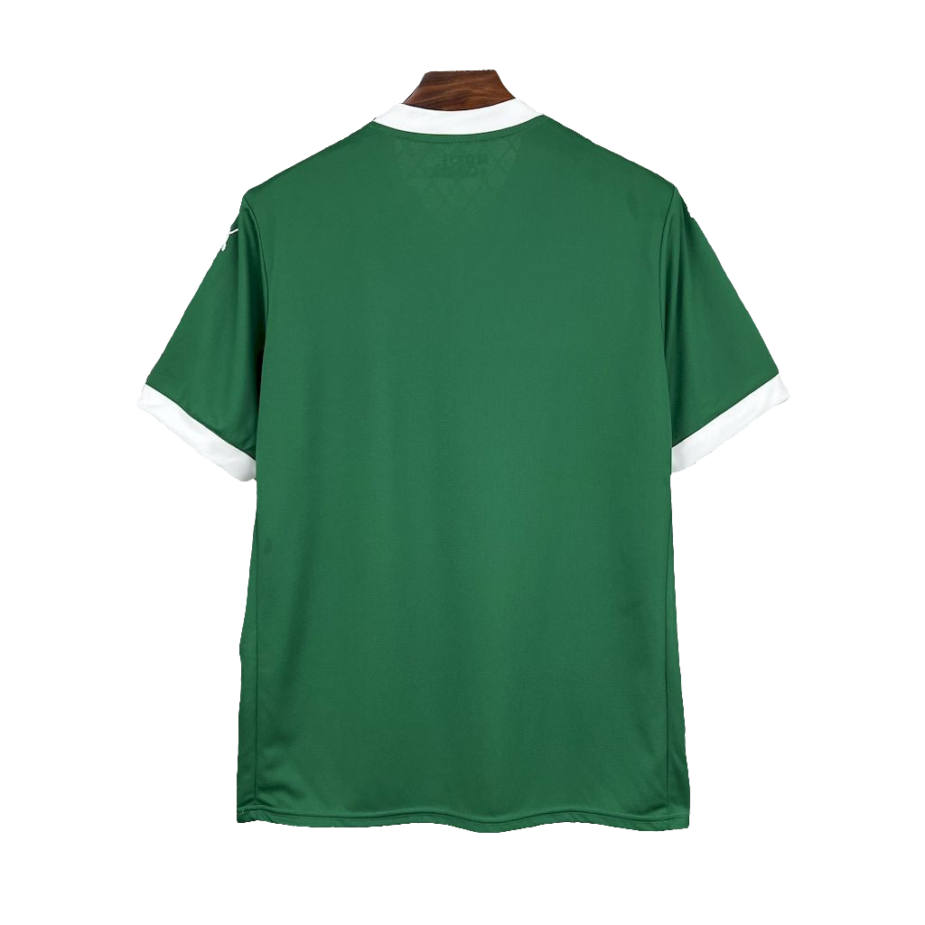 CAMISOLA DO PALMEIRAS 25/26 VERDE